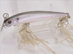 Silver shiner