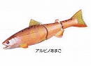 Albino amago