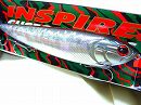 Black arowana (#180)