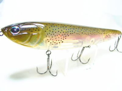 Rainbow trout