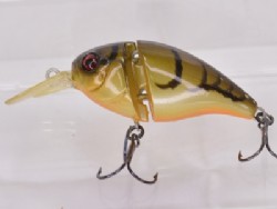 Brown craw