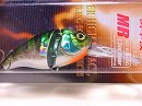 HLG Blue gill
