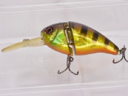 HL gold gill 1