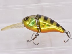 HL gold gill 2