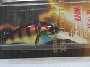 Red angry gill