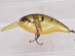 Brown craw