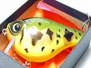 Green perch