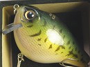 Large mouth bass