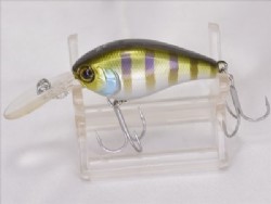 Blue gill