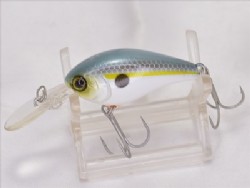 SS shad