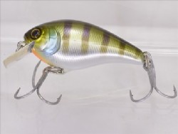 Blue gill