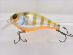 Chart back blue gill