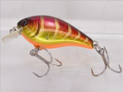 HL spawn gold craw