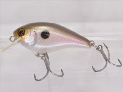 Pearl gizzard