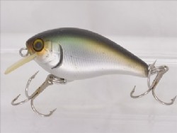 Shibugin