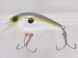 SS shad