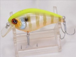 Chart back blue gill