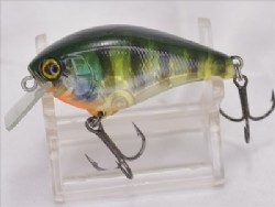 FP blue gill