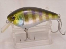 Blue gill
