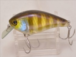 FP gld gill