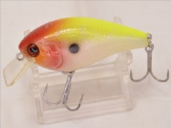 Raddy shad