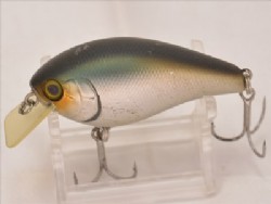 Shibugin