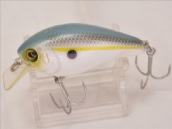 SS shad