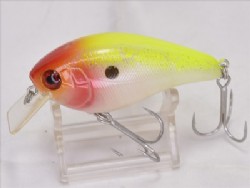 Ruddy shad