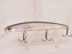 Ghost smoking shad
