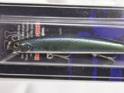 HM sexy shad