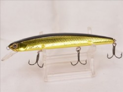Koban orange belly
