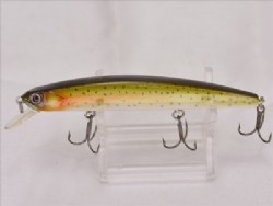 Rainbow trout