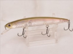 TS lively flash wakasagi