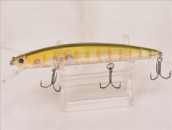 TG sun fish