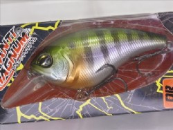 Natural gill (#004)