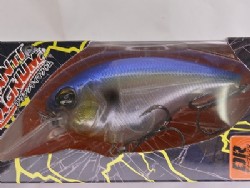 NL sexy shad