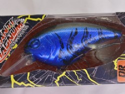 Okeechobee craw