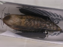 Black raven (#701)
