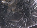 Black (#S-11)
