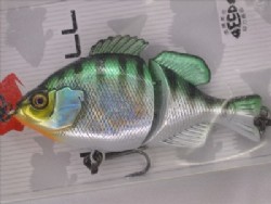 HL G blue gill