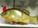 RT Bluegill