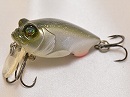 Glitter shad