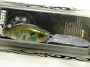 Blue gill (#05)
