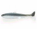Neon WM / Hologram shad (#003)