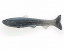 Blue gill (#008)