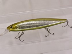 Glass belly shiner