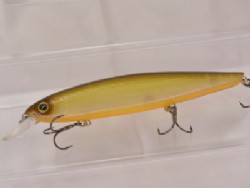 Horizon shad