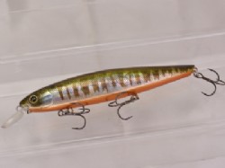 Prism gill