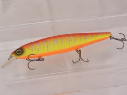 Red tiger