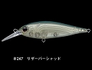 Reservoir shad (#247)